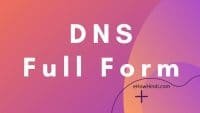 DNS Full Form